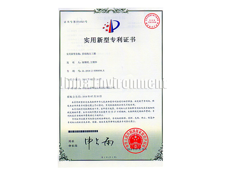 Patent Certificate for Multi-s